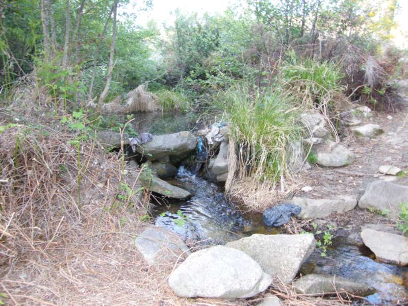 Quedas de agua....JPG